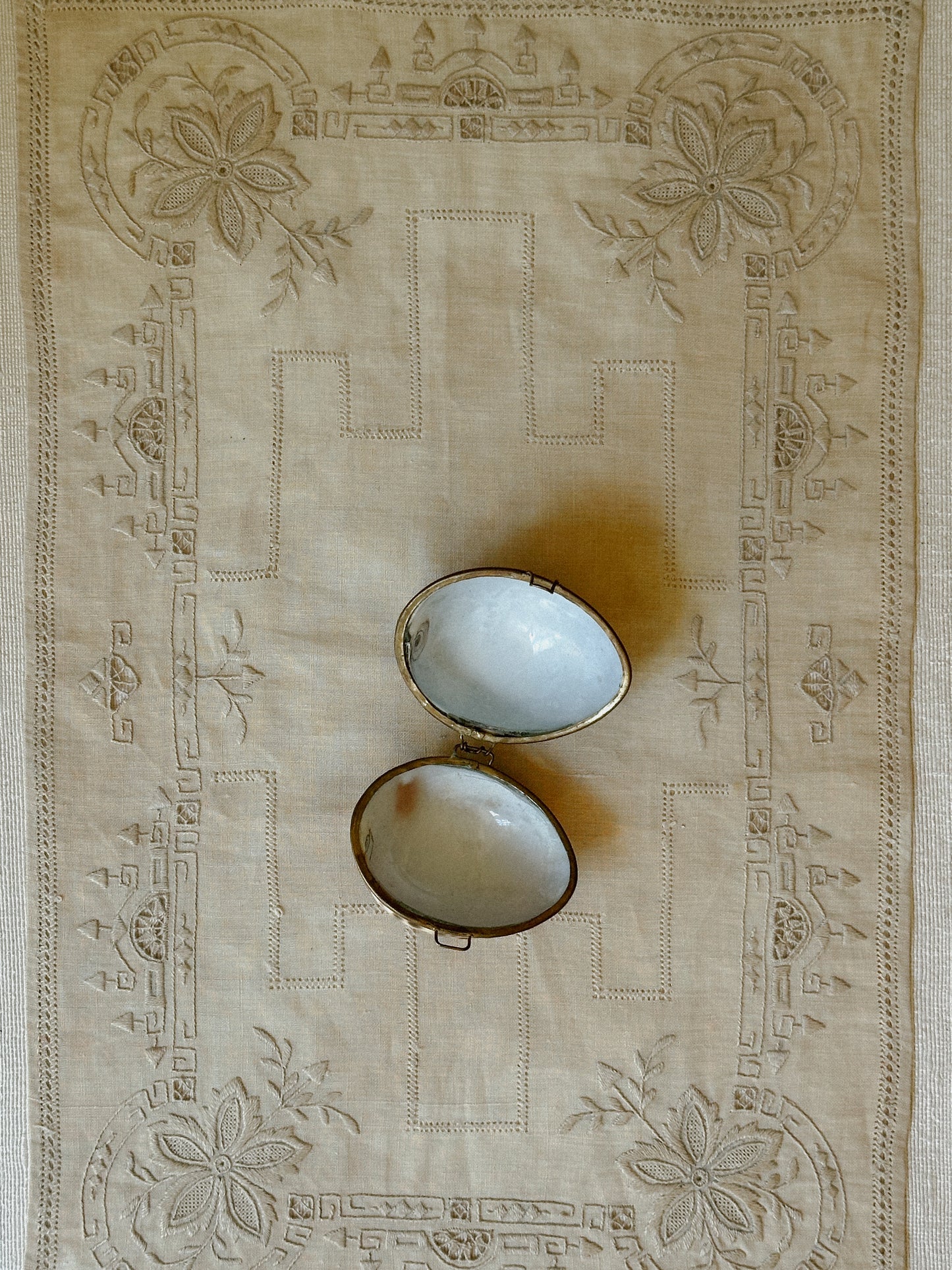 Cowrie Tiger Shell Coin Purse/Pill Box