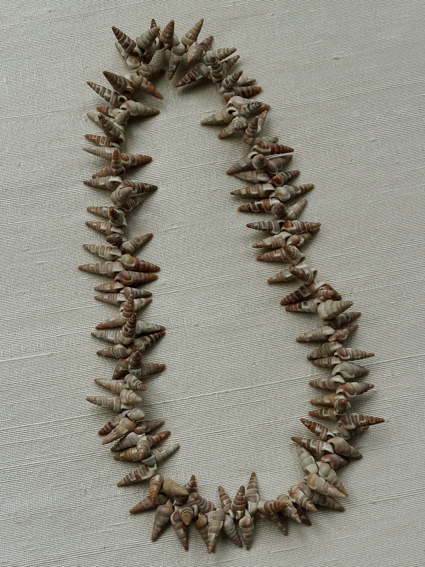Natural Shell Necklace II 