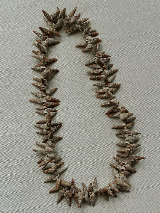 Natural Shell Necklace II 