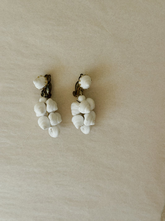 Shell Earrings