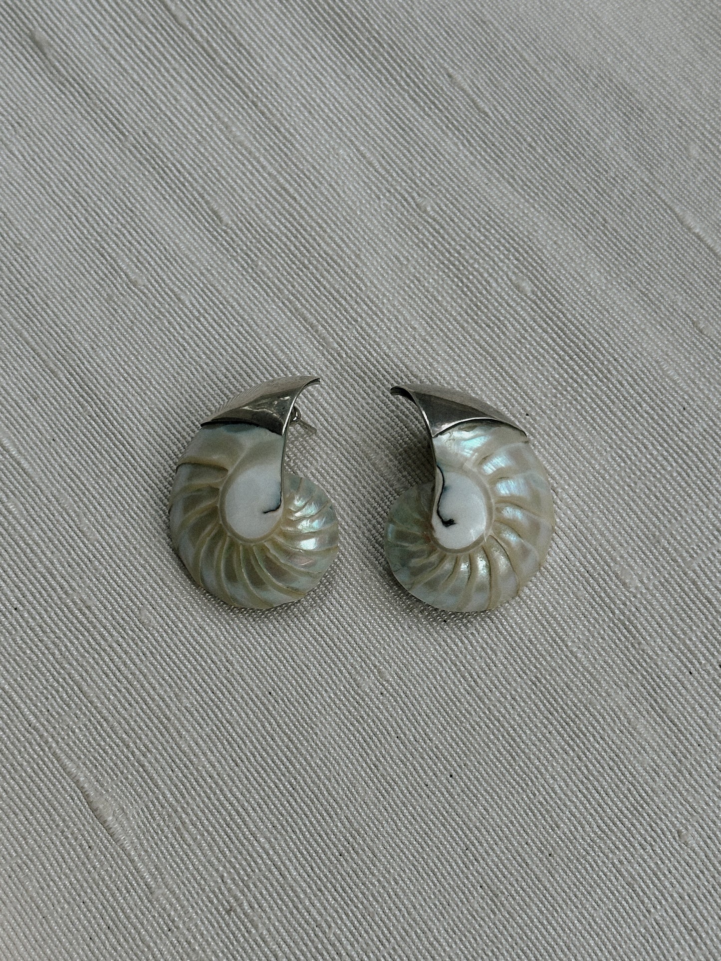 Sterling and Nautilus Shell Earrings