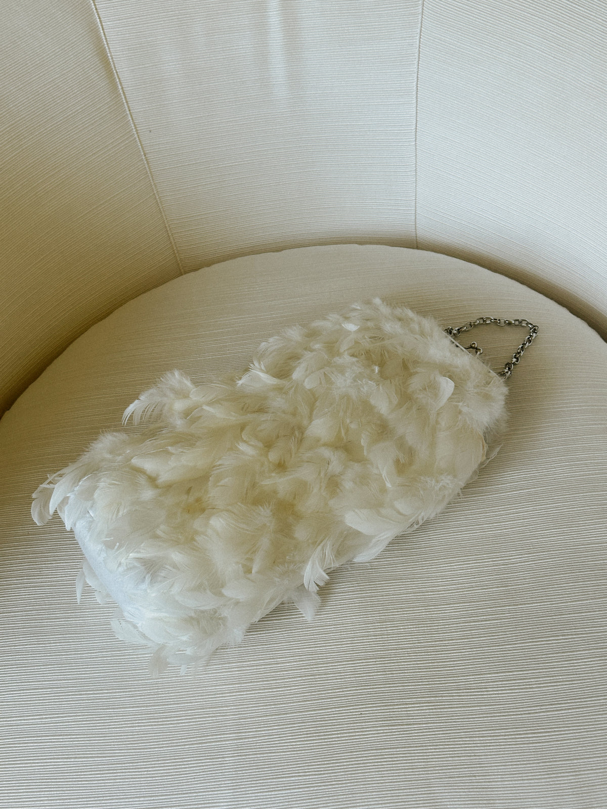 Feather Purse