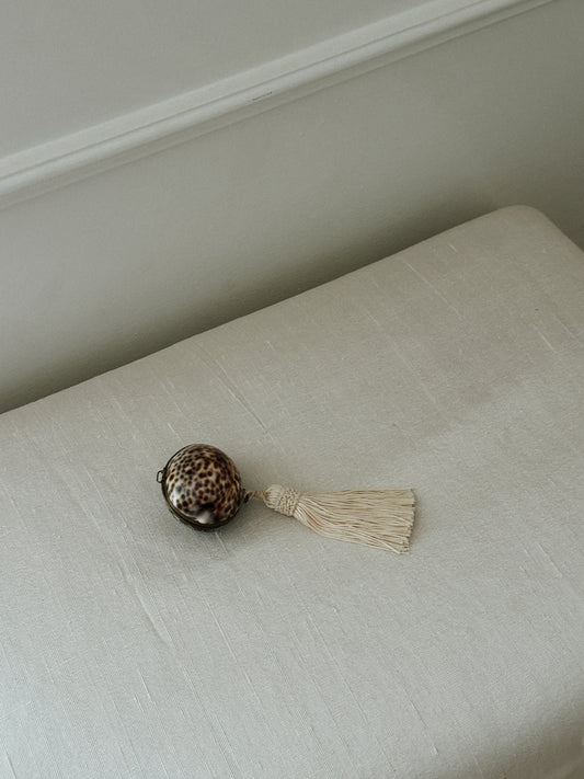 Cowrie Tiger Shell Coin Purse/Pill Box 