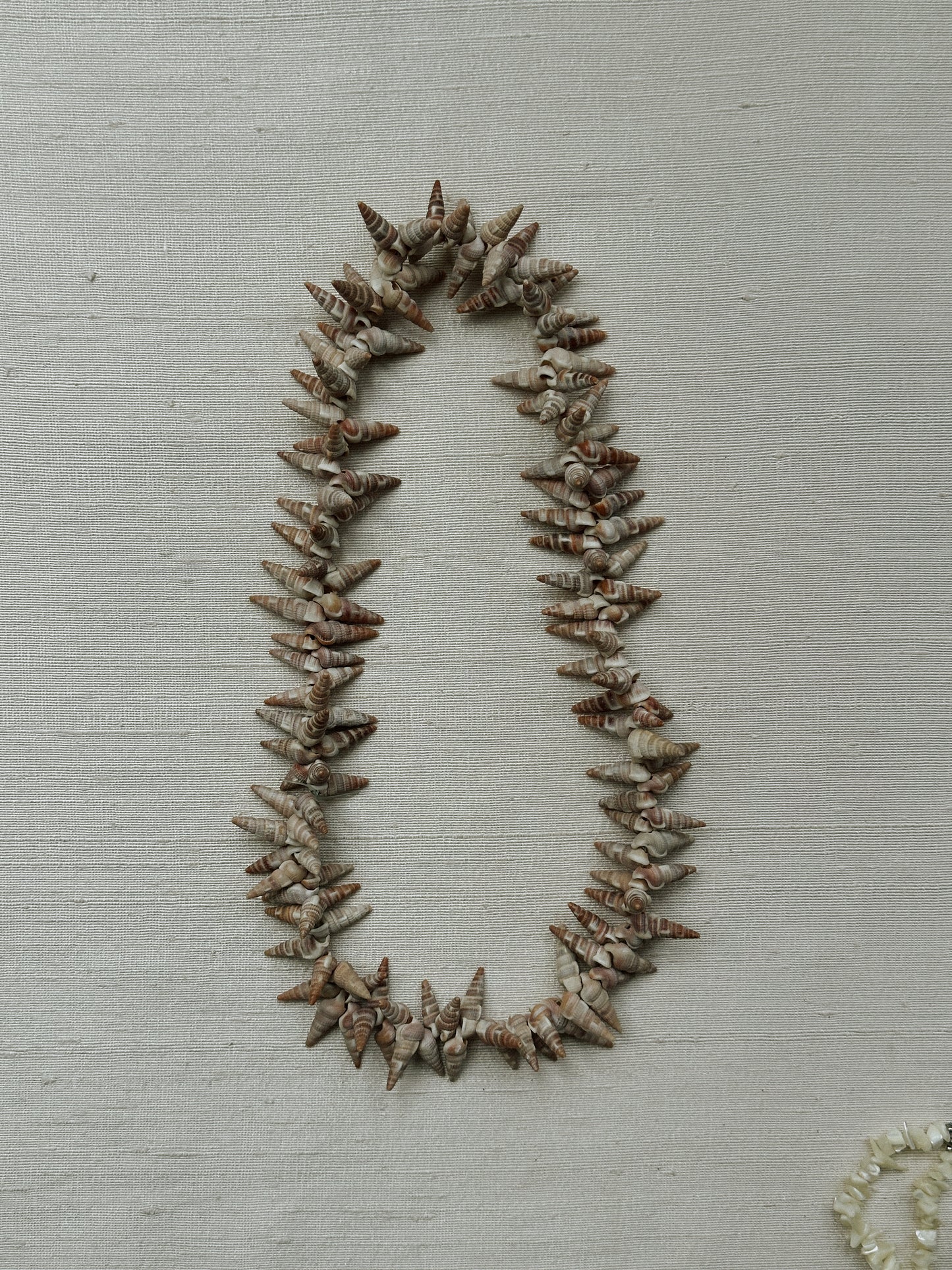 Natural Shell Necklace II 