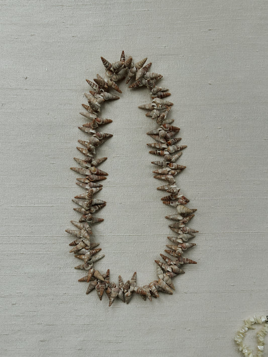 Natural Shell Necklace II 