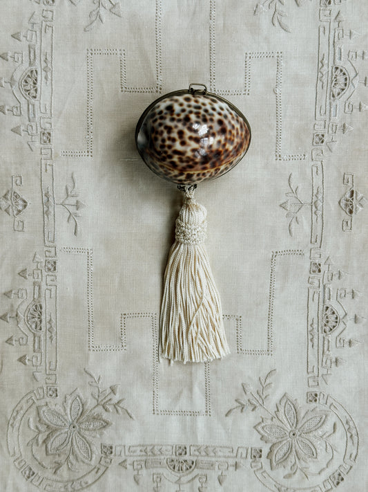 Cowrie Tiger Shell Coin Purse/Pill Box 